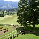 Διαμέρισμα Haus Berghild Ramsau am Dachstein