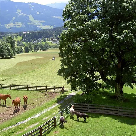 Apartment Haus Berghild Ramsau am Dachstein