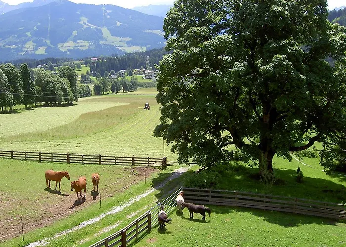 Lejlighed Haus Berghild Ramsau am Dachstein